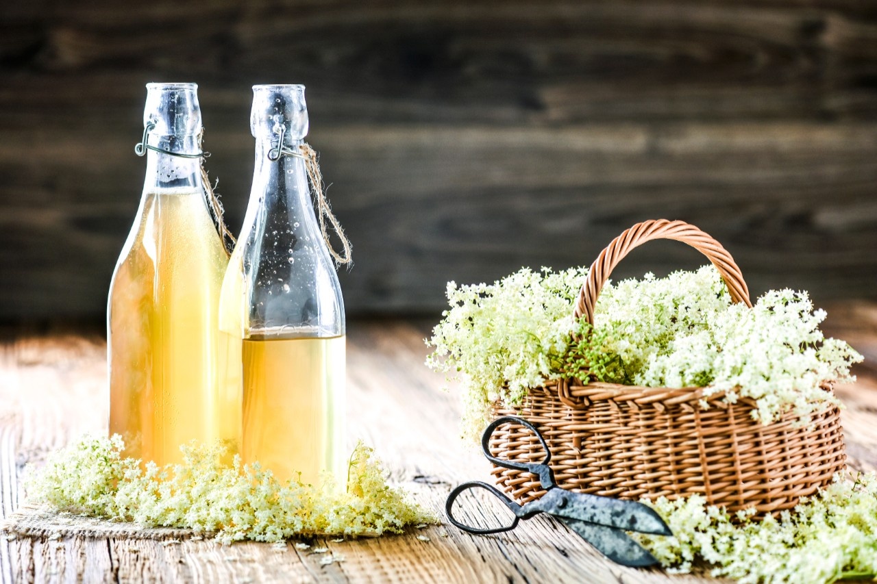 Holunderblütensirup selber machen