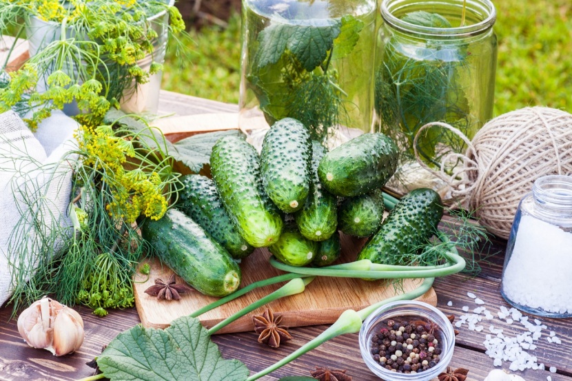 Salzgurken nach Omas Rezept