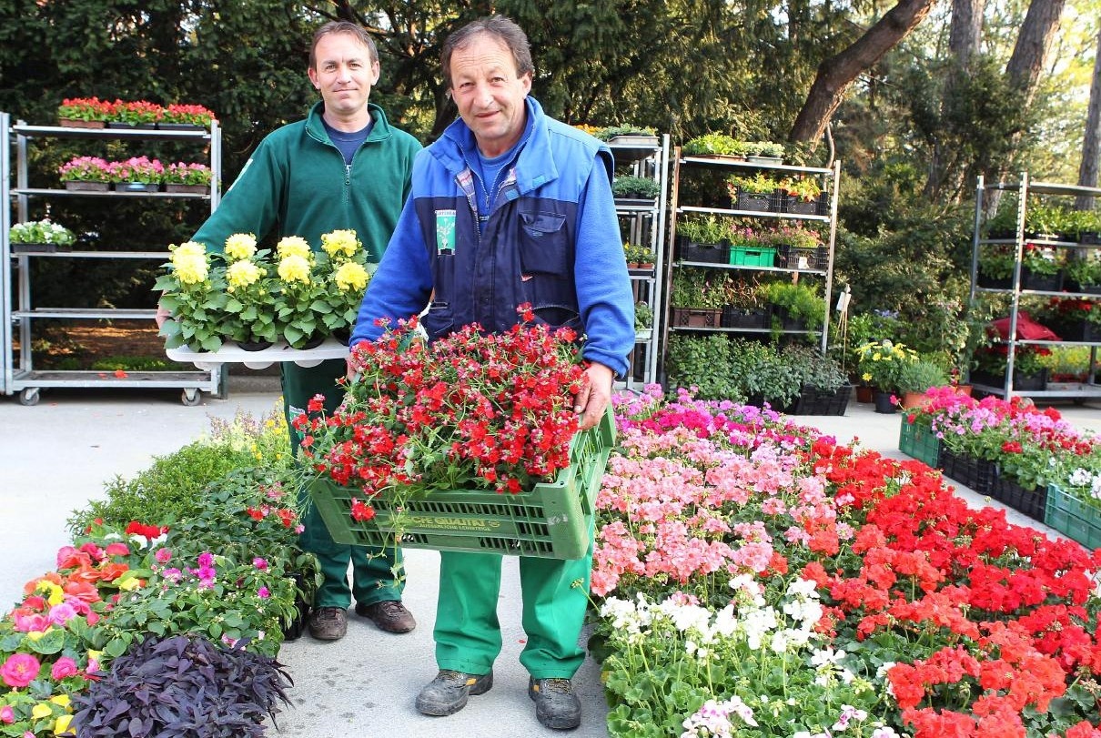 Blumenmärkte 2018 Die Gärtner kommen zu den Wienern