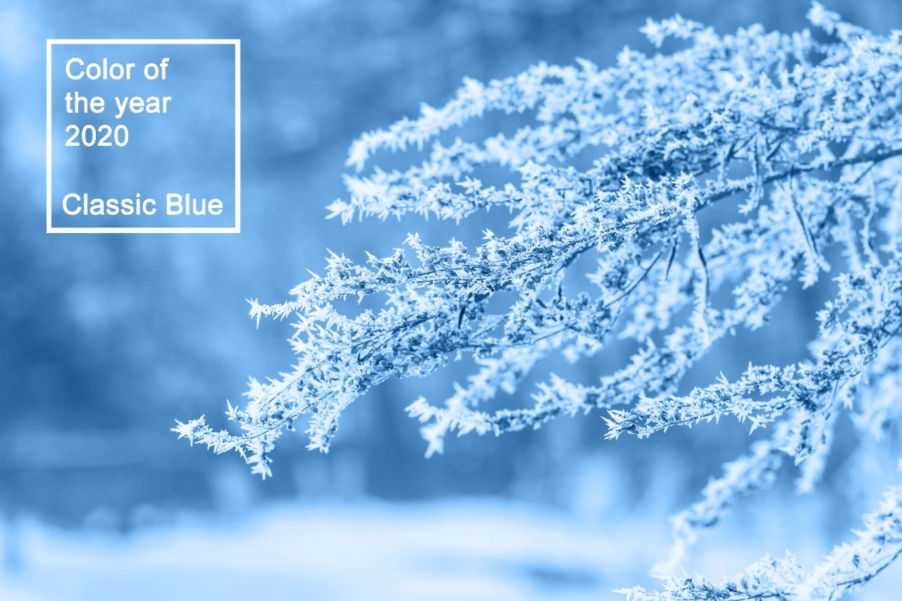 Classic Blue – die Farbe des Jahres 2020