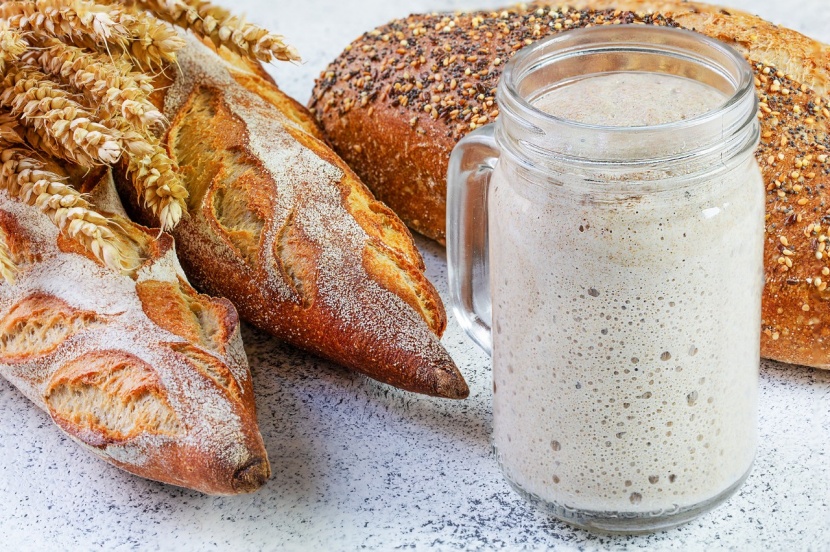 thuja smaragd düngen wann Purgrün Thuja-Smaragd-Dünger 1 kg