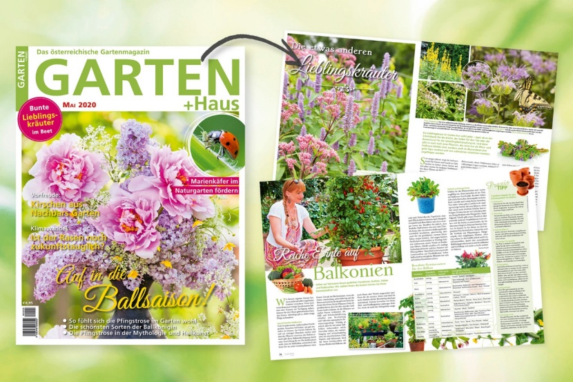 Garten Haus Mai 2020 Das Sind Die Themen