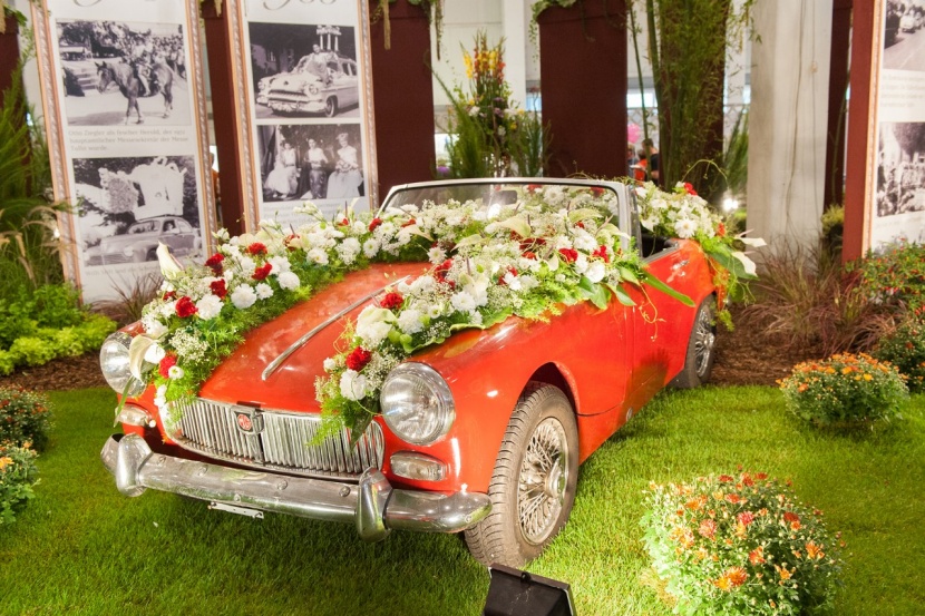 Gartenbaumesse Tulln