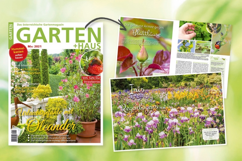 GARTEN+HAUS Mai 2021 Das sind die Themen