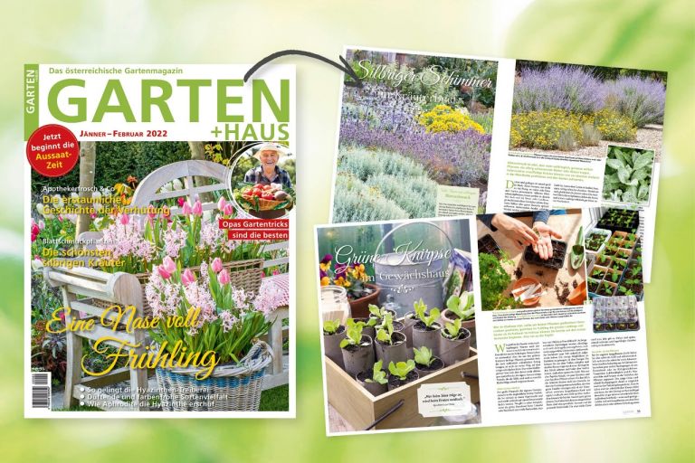 GARTEN HAUS Jänner-Februar 2022: Das sind die Themen