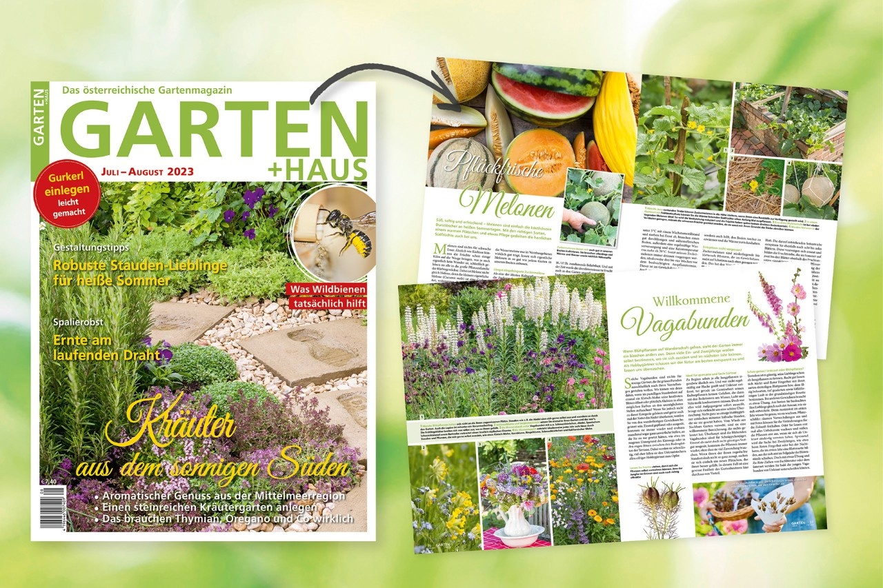 GARTEN+HAUS JuliAugust 2023 Das sind die Themen