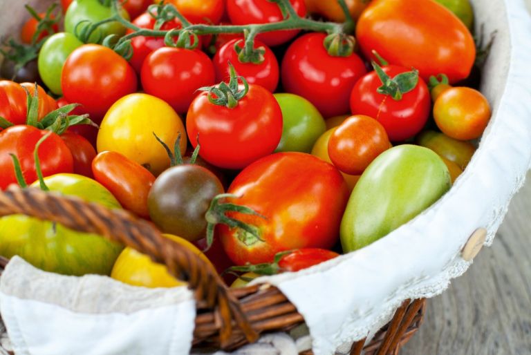 Warum heißen Tomaten Paradeiser?