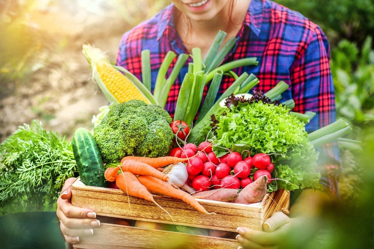 Obst oder Gemüse Was ist der Unterschied Obst oder Gemüse Was ist der Unterschied