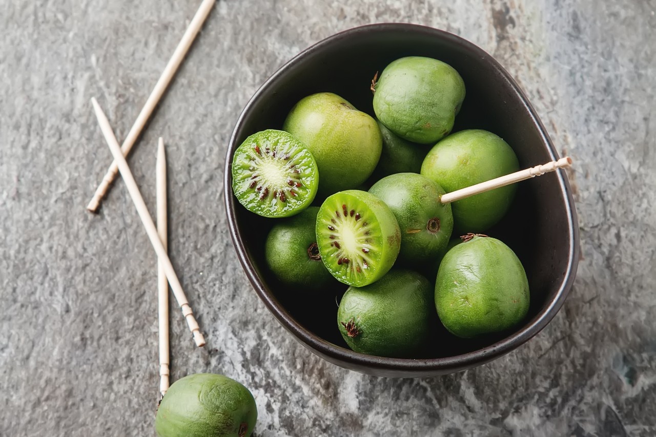 Erntezeit für MiniKiwis