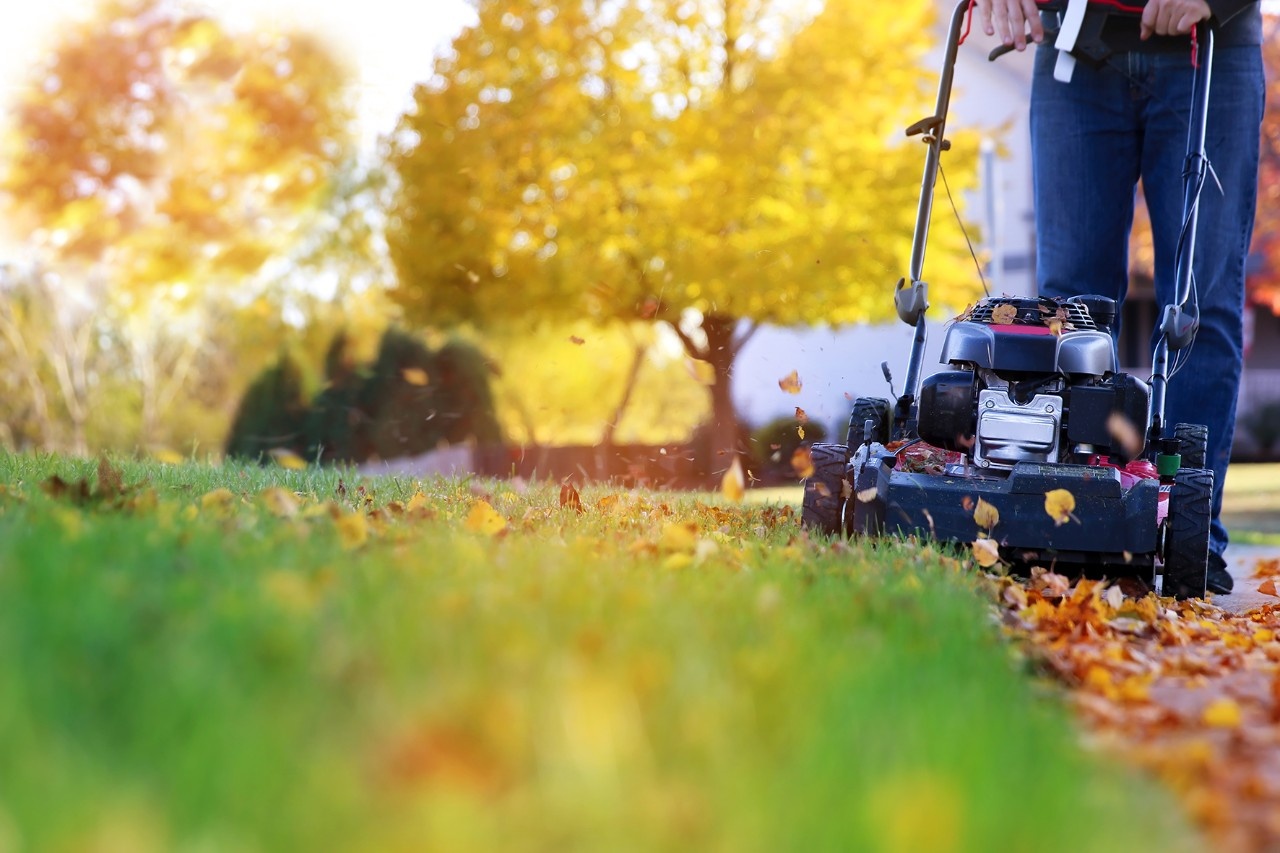 Was der Rasen im Herbst braucht