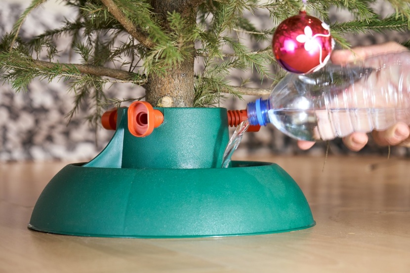 So bleibt der Christbaum lnger frisch