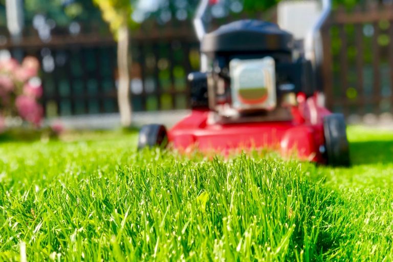 Wichtige Rasenarbeiten im Sommer