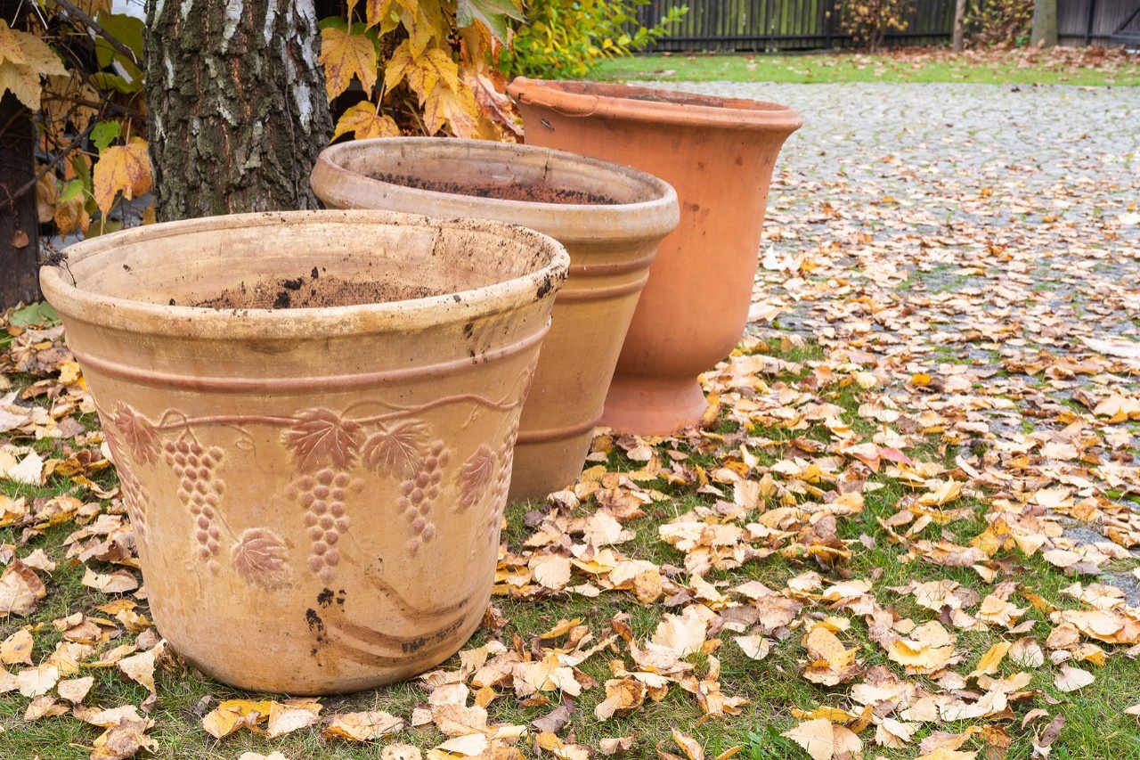 Tontöpfe nicht im Freien überwintern
