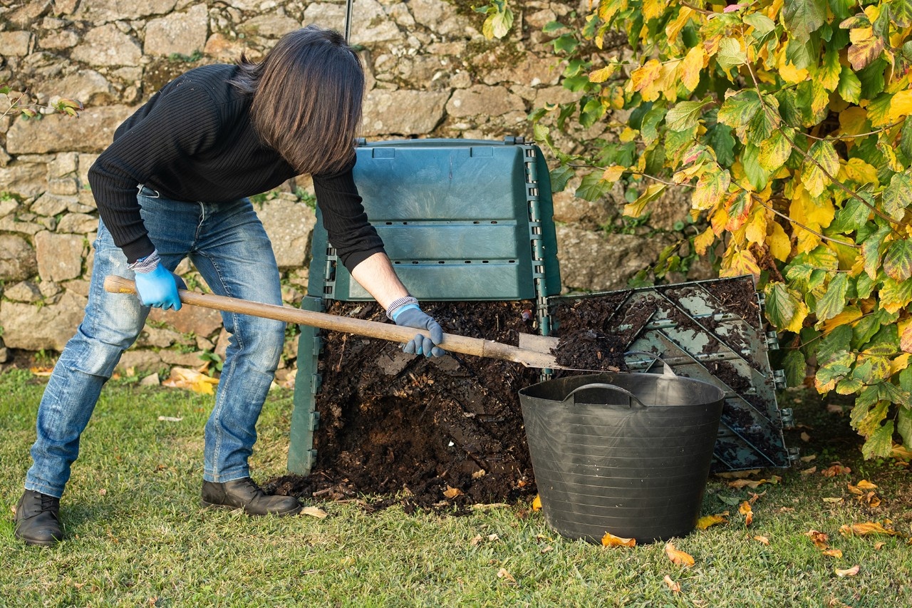 Kompost im Herbst ausbringen?