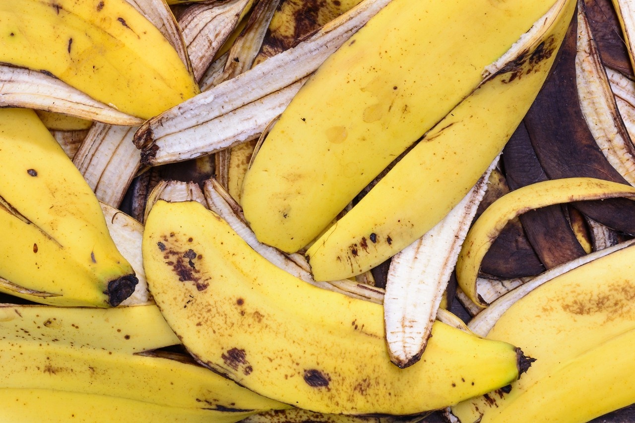 zebragras düngen Purgrün Zebragras-Dünger 1 Liter main image 1