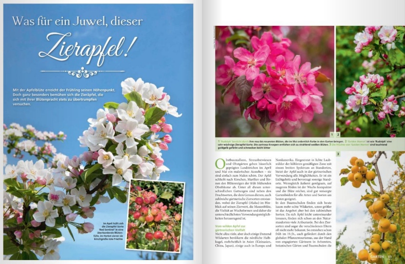 Uber Das Magazin
