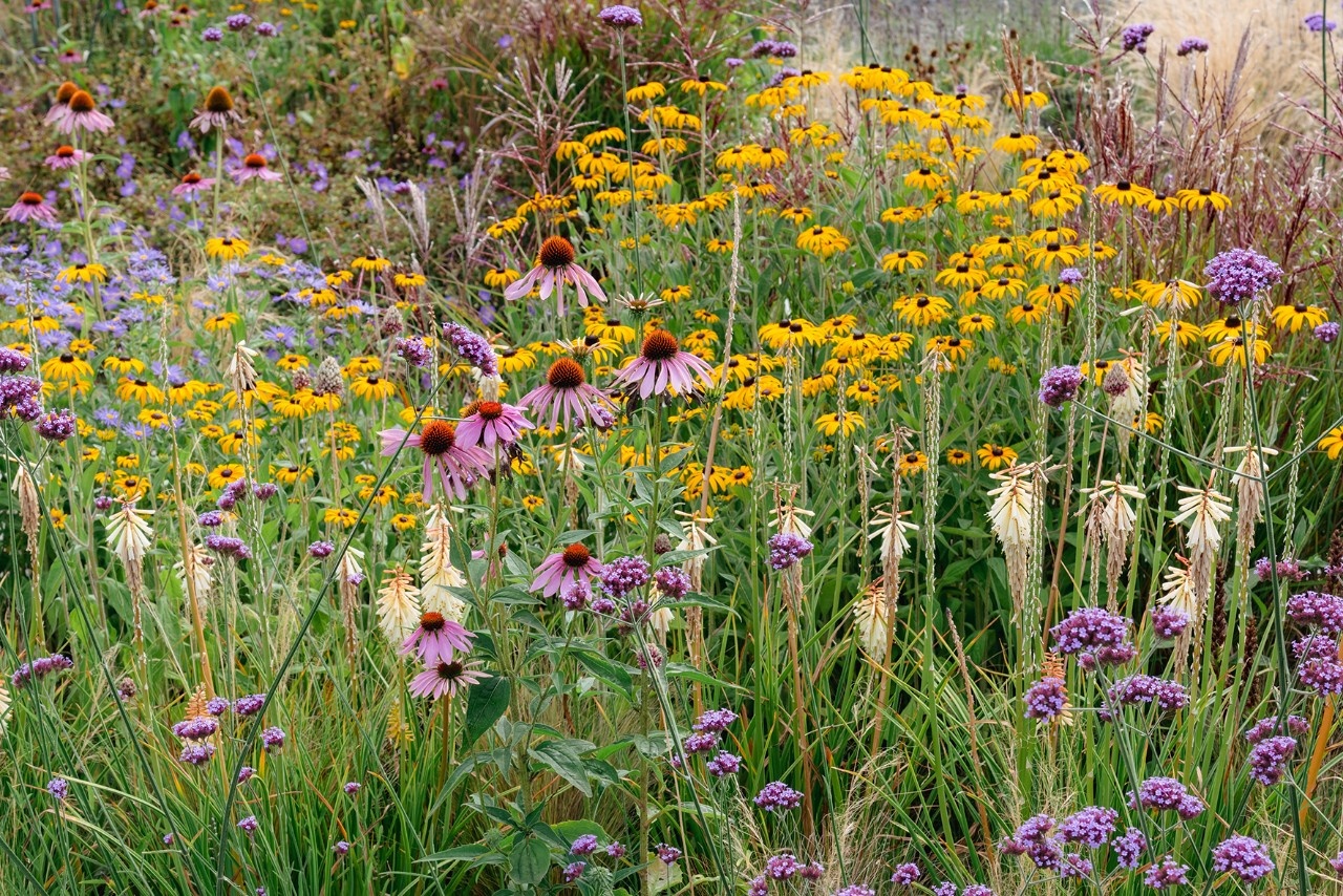 57+ Präriegarten Nrw, Explorez des lieux uniques à travers le monde.