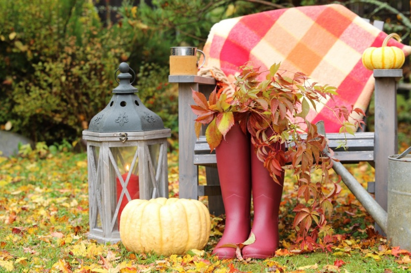 Herbstliche Dekoideen Fur Drinnen Und Draussen