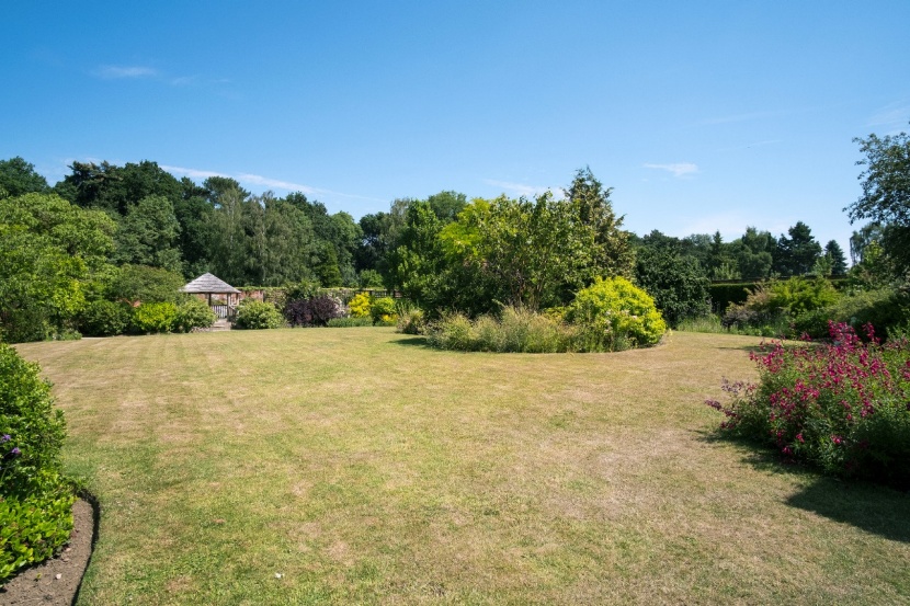 Hilfe bei verbranntem Rasen