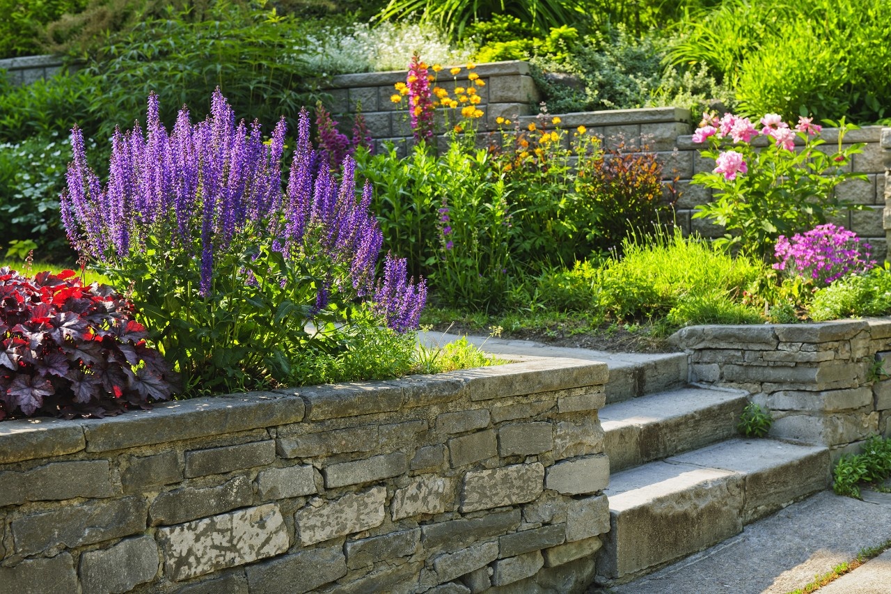 Die richtige Art der Bepflanzung 5 Ideen für Ihren Garten