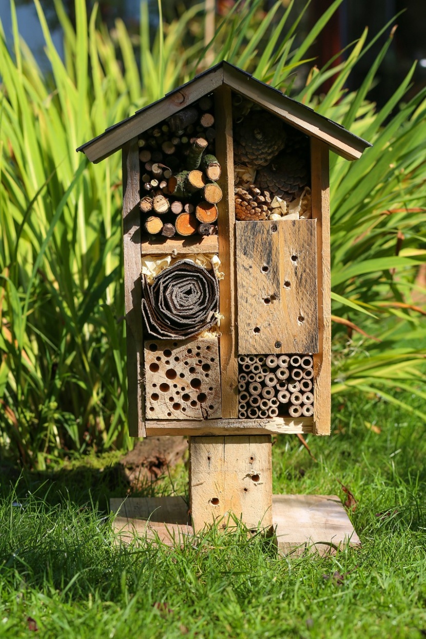 Für mehr Nützlinge im Garten