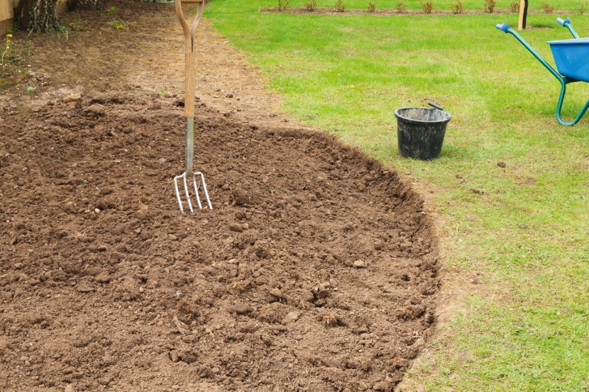 Rasen in eine Blumenwiese umwandeln