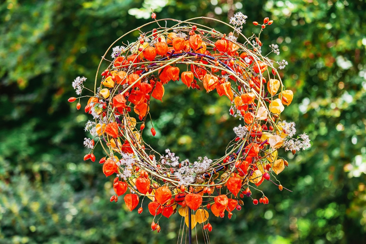 Herbstkränze mit Lampionblumen