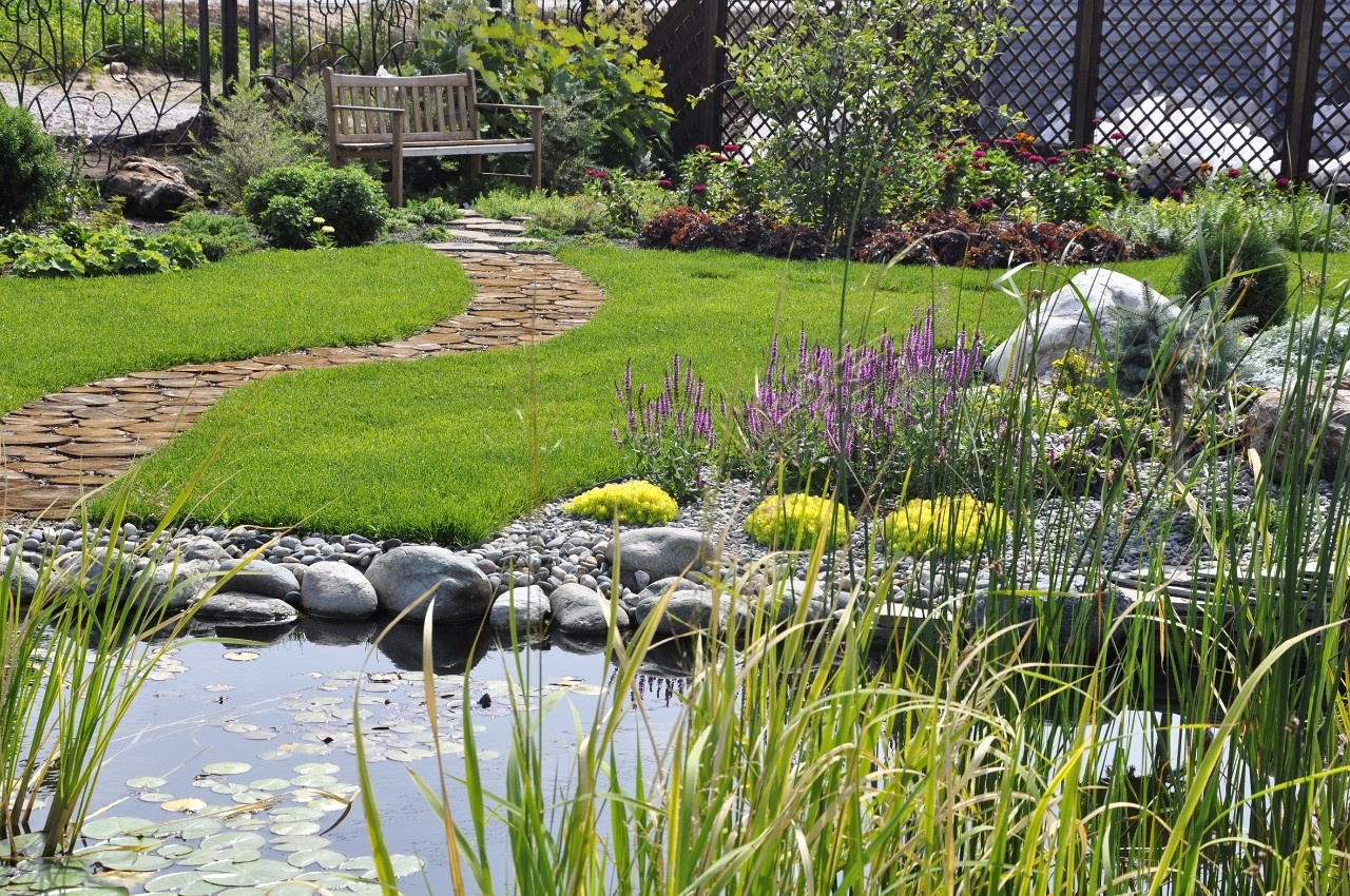 Der Gartenteich so bleibt er gepflegt und gesund
